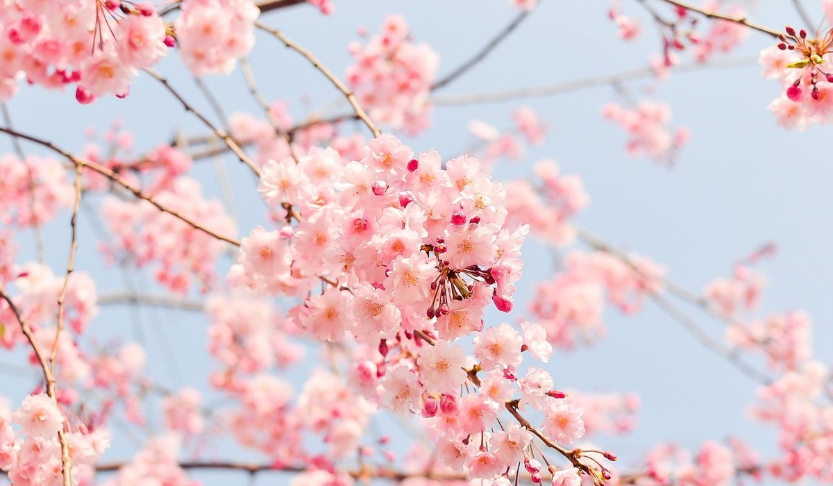 Building a Self-Care Routine That Fits a Busy Week